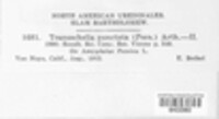 Tranzschelia discolor image